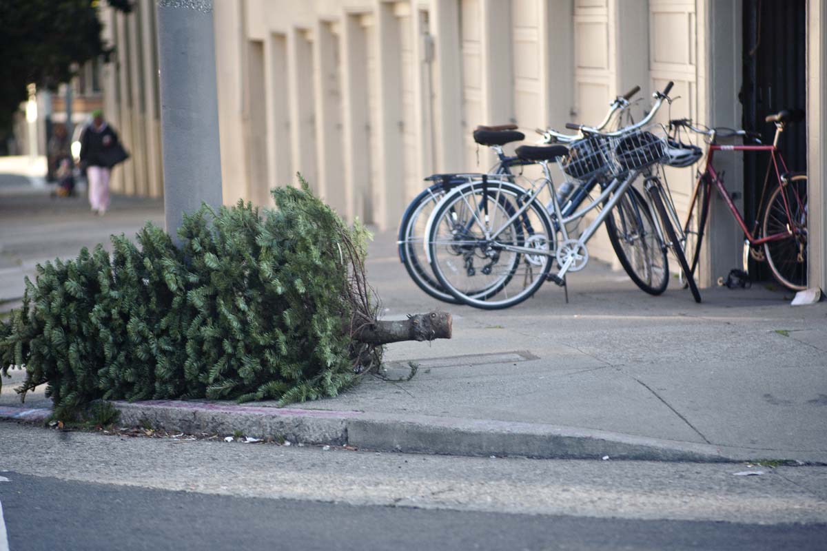 Por favor, no abandones tu árbol navideño en la calle. ¡Mejor llévalo a estos puntos de acopio!