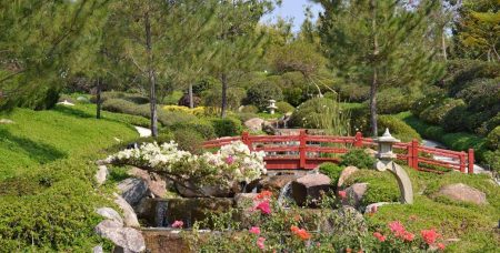 Jardines de México, el edén morelense de las flores (FOTOS)