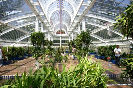 El mejor orquidiario en CDMX: el Jardín Botánico del Bosque de Chapultepec