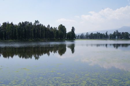 La CDMX tiene un nuevo lago artificial en Ciudad Deportiva (FOTOS)