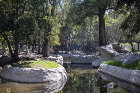 Reabren las Tazas de Chapultepec después de 40 años