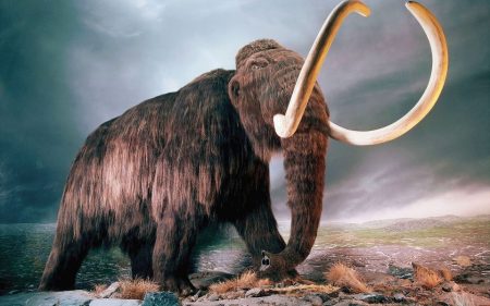 Lo que los paleontólogos del INAH han descubierto del mamut de Milpa Alta