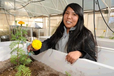 Mujer rarámuri logró limpiar el agua gris por medio de flores de cempasúchil 