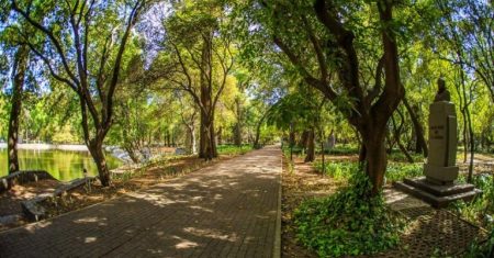 Conoce el plan de rehabilitación de la 3era sección del Bosque de Chapultepec