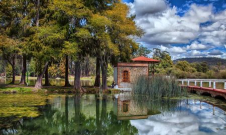 Parque Nacional Molino de Flores: el vestigio de los Jardines Botánicos del Nezahualcóyotl