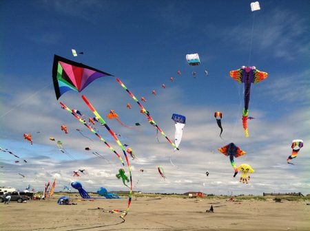 ¡No te pierdas del Festival Nacional de Vuelo de Papalotes!