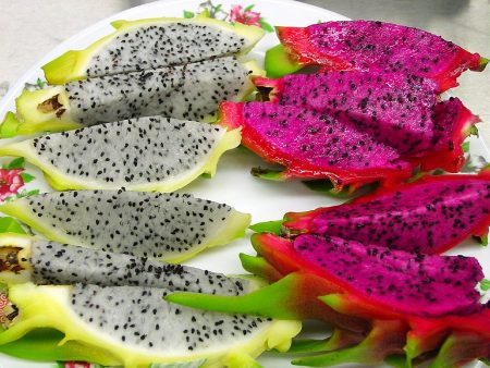 Pitahaya y pitaya: las diferencias de una fruta suculenta