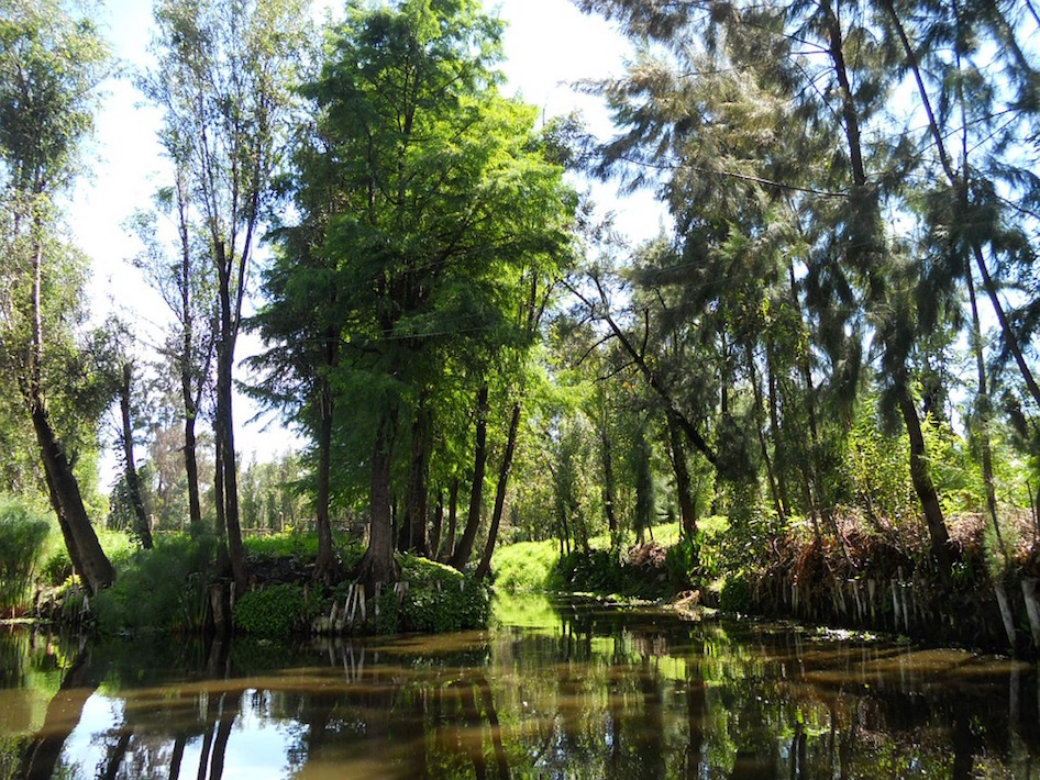 Un paseo ancestral por los canales de Xochimilco