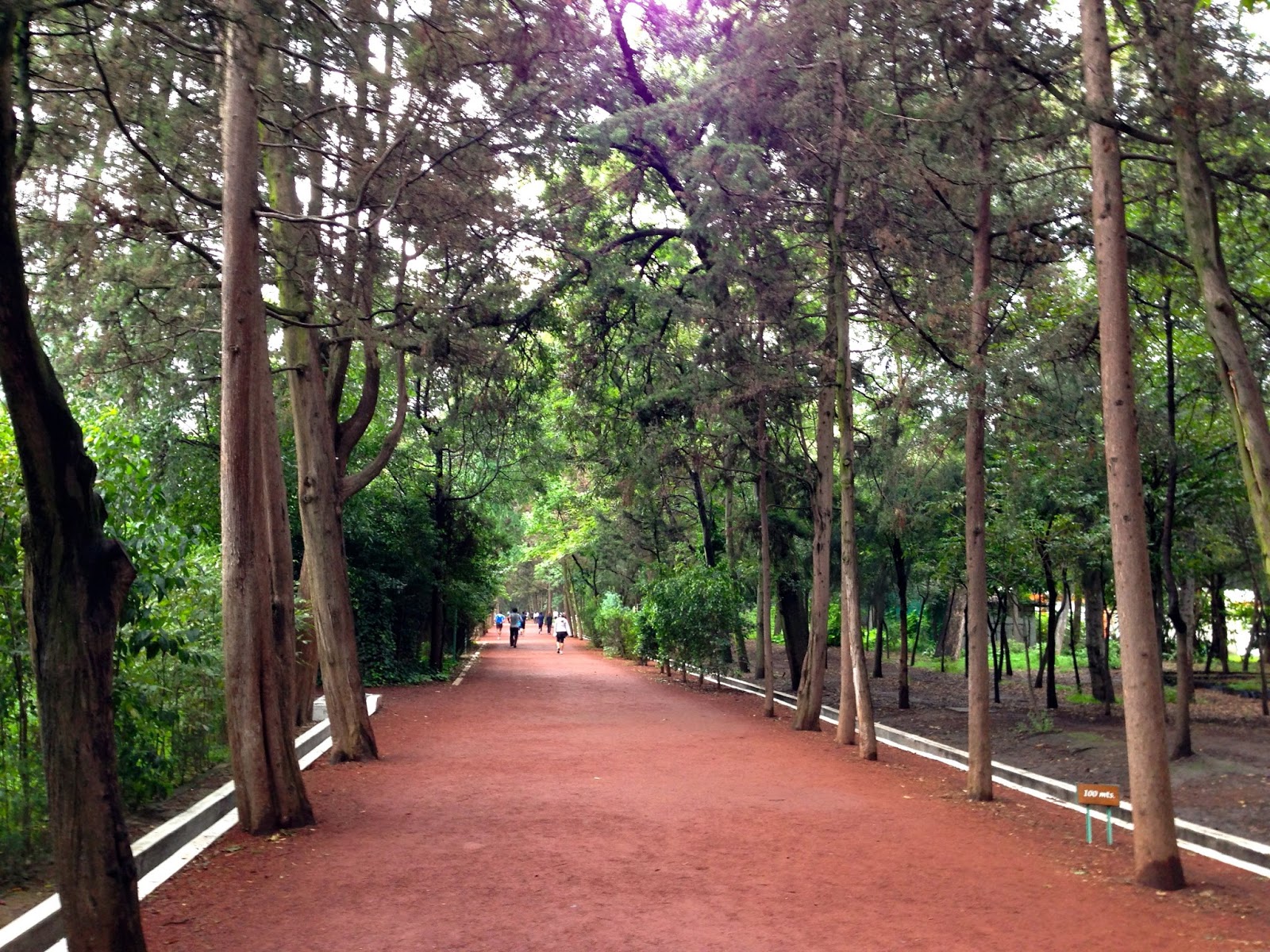 Lugares para encontrar paz y tranquilidad en la Ciudad de México