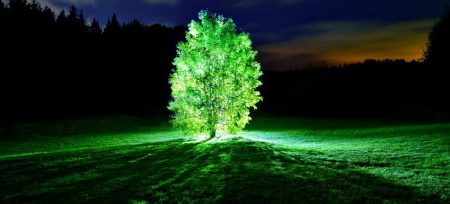 ¿Y si cambiamos los postes de luz de las calles por árboles luminosos?