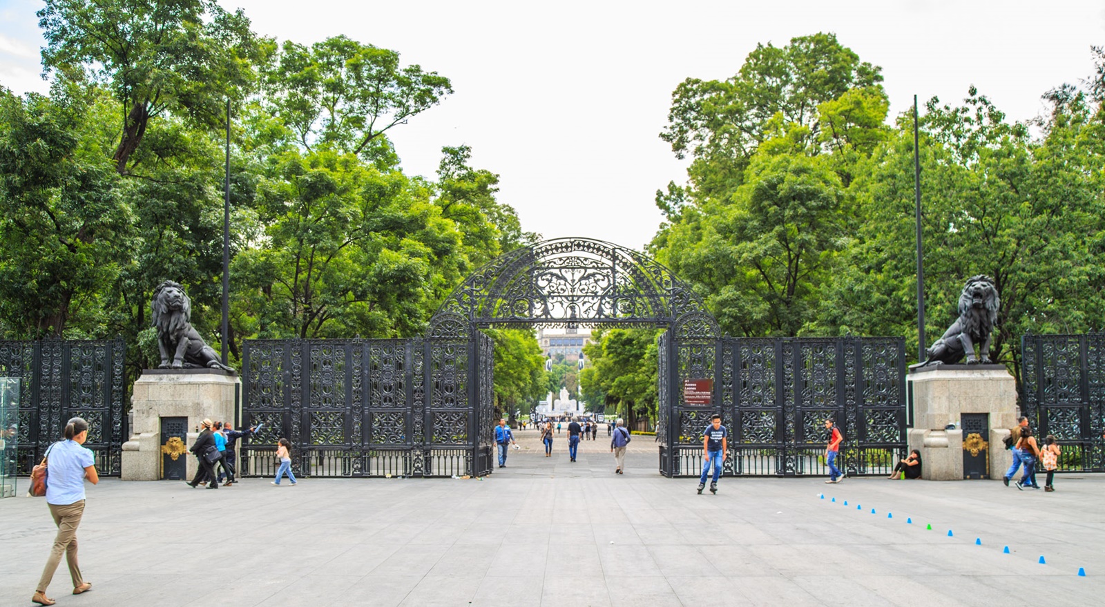 ¿Cuáles son los animales más célebres del Zoológico de Chapultepec?