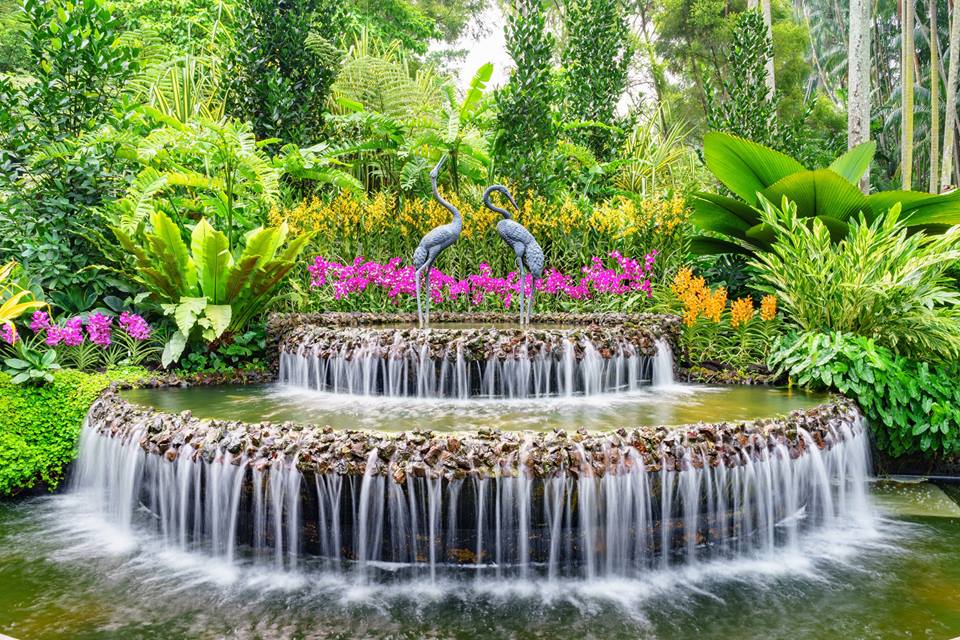 Así se ve la Ciudad de México llena de flores (FOTOS)