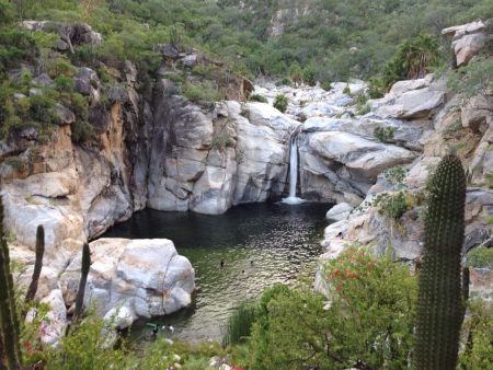 Este Rancho Ecológico es un oasis en medio de uno de los estados más secos del país