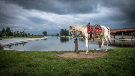 Rancho La Mesa, una joya ecoturística que debes visitar en el Estado de México