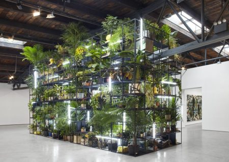 Los simbolísmos artísticos de Rashid Johnson llegan al Museo Tamayo