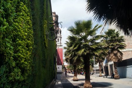 3 ejemplos de que los jardines verticales están cambiando radicalmente la vida en la CDMX