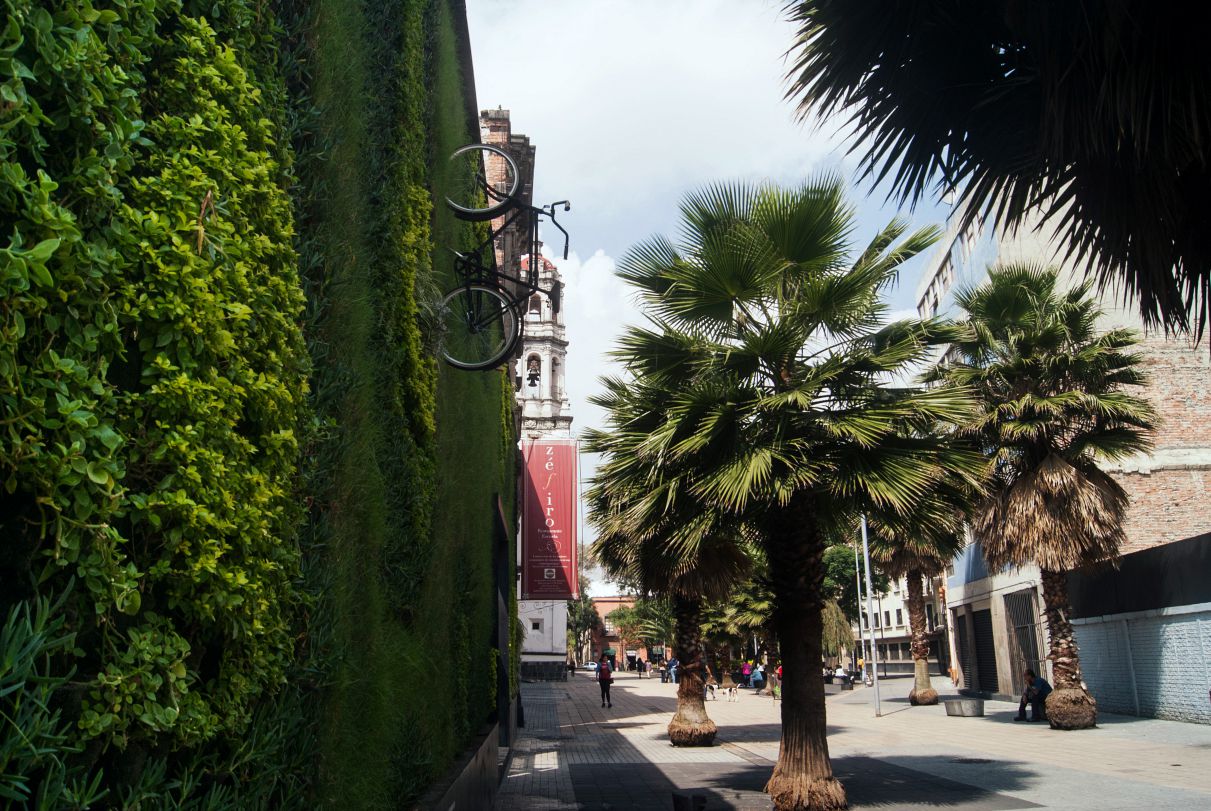 3 ejemplos de que los jardines verticales están cambiando radicalmente la vida en la CDMX