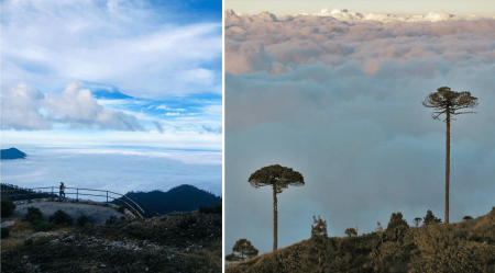 Cascada de Niebla: el paraíso ecoturístico oculto de Santiago Comaltepec