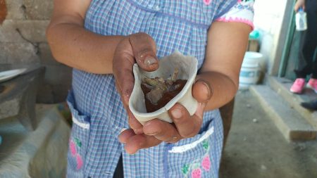 Los tamales de puñete forman parte de la tradición oaxaqueña del itacate