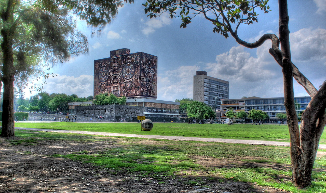 Actividades gratuitas que puedes hacer en la UNAM