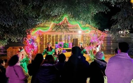 Celebra la Navidad en el Bosque iluminado del Valle de los Enamorados