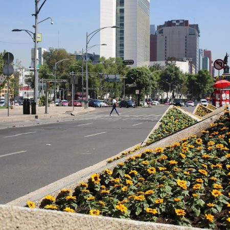 Miles de girasoles colorean Paseo de la Reforma en honor a Van Gogh