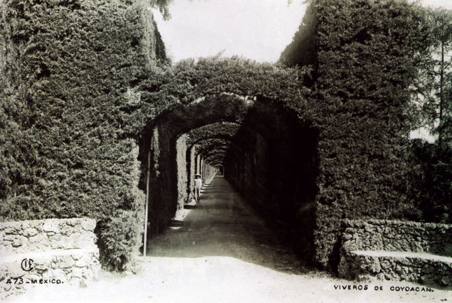 antiguo barrio de Coyoacán