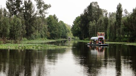 Este increíble video muestra los reflejos de la vida íntima de Xochimilco