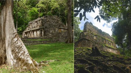 Yaxchilán te transportará a la magia recóndita de la Selva Lacandona