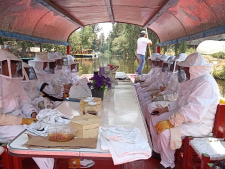 Abejas de Barrio: un mágico recorrido por las trajineras y la apicultura de Xochimilco