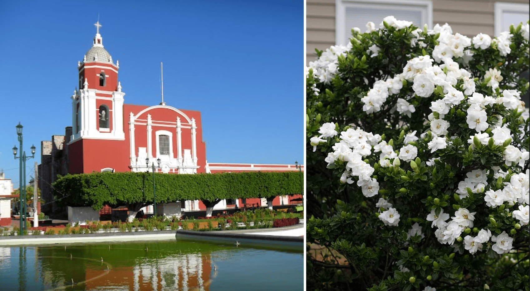 La ciudad de las gardenias y la fascinante gastronomía de Acaponeta