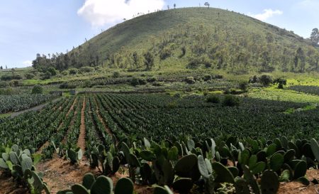 La guía definitiva de lugares para conocer en Milpa Alta