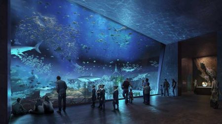 El Acuario Mar de Cortés en Mazatlán será uno de los más grandes del mundo