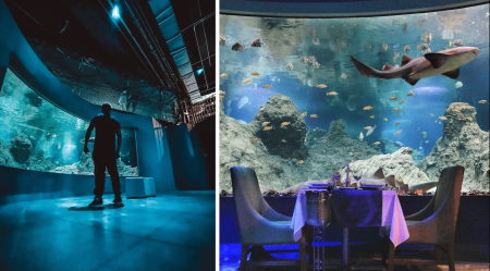 El Acuario Michin de Puebla, uno de los más bellos e inspirado en culturas indígenas de México