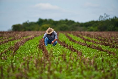 La CDMX es territorio agrícola que cultiva maíz, amaranto, nopal y maguey