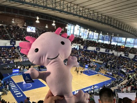 El Ajolote es el símbolo y mascota del equipo de basquetbol de la CDMX