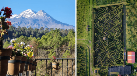 Parque Alpinia, un parque natural con el laberinto más grande del país