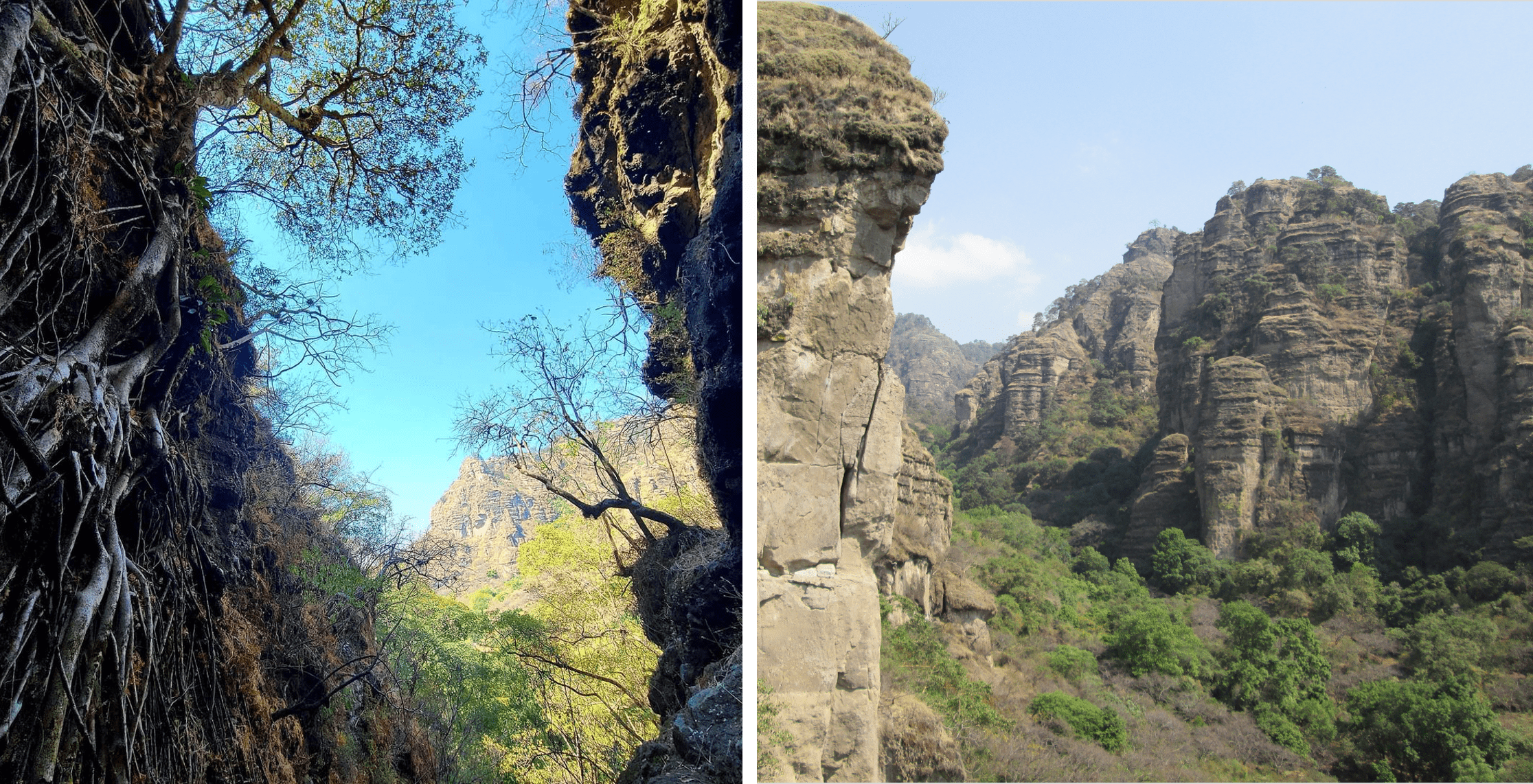 Amatlán de Quetzalcóatl y sus portales místicos para sumergirse en la naturaleza