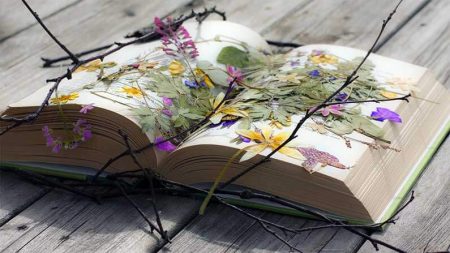 Anagrama recomienda: lecturas para recibir la primavera