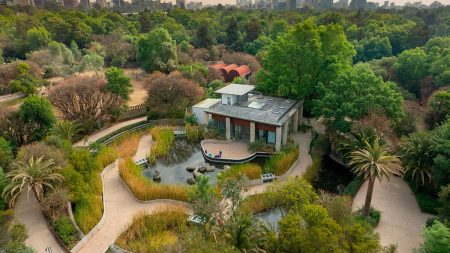 Estos son los nuevos museos totalmente gratuitos que puedes visitar en la CDMX