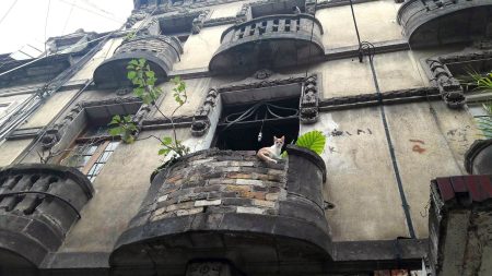 Fachadas antiguas y hermosas de la colonia Roma (FOTOS)