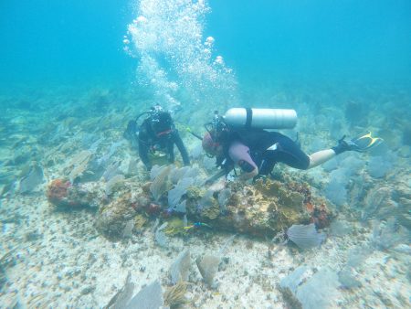 Un equipo de arqueólogos investiga vestigios de la Era del Hielo en el Golfo de México