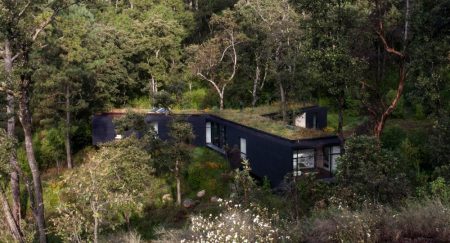 La preciosa casa en forma de Y que se esconde en un bosque mexicano