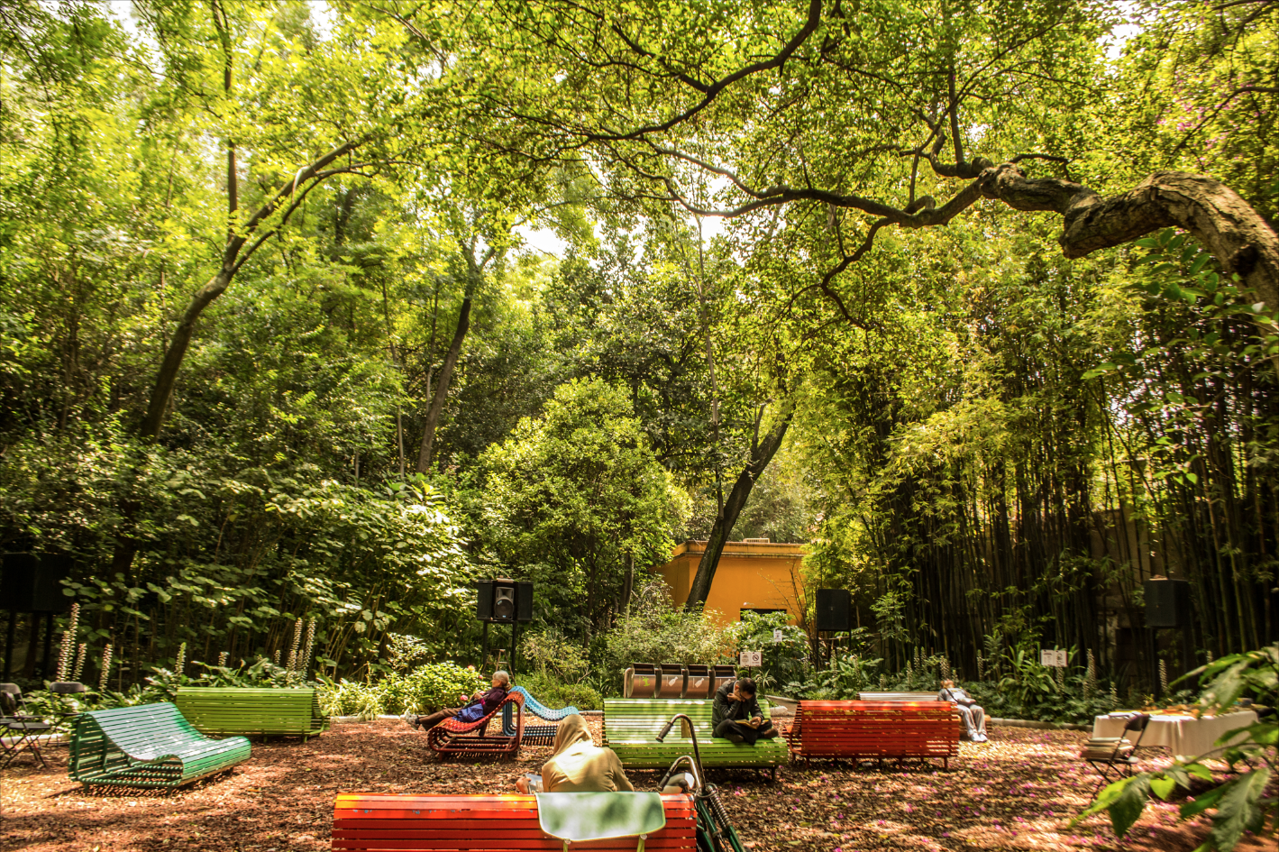 La música secreta en el encantador Audiorama de Chapultepec