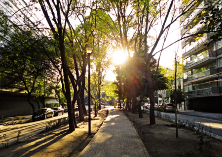 Avenida Amsterdam en la Hipódromo Condesa, la calle sin fin