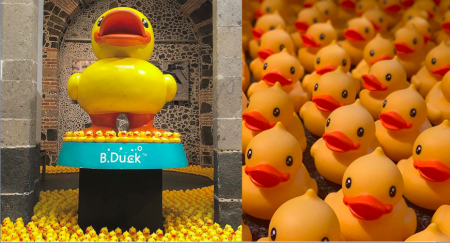 La exposición de B. Duck el patito de hule más aventurero del mundo