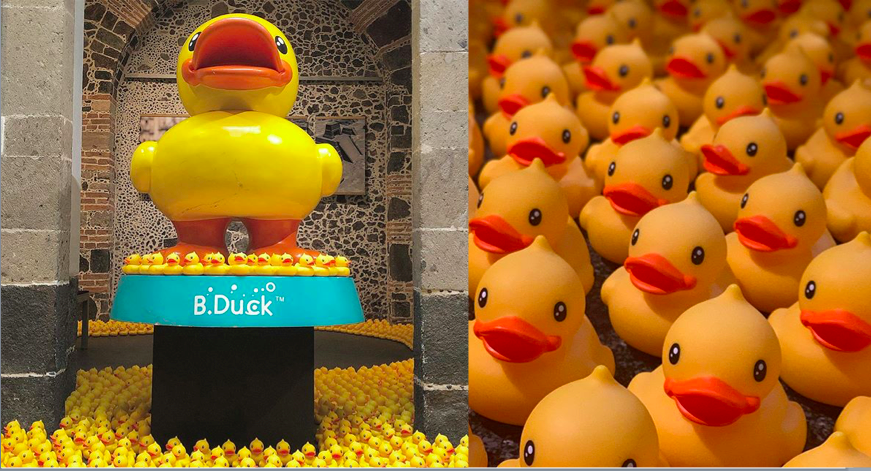 La exposición de B. Duck el patito de hule más aventurero del mundo