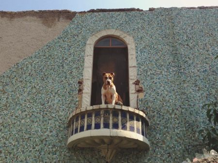 Los hermosos balcones de la colonia Industrial (FOTOS)