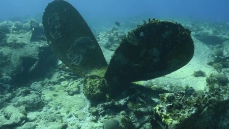 Banco Chinchorro, un paraíso inmerso en el Caribe Mexicano