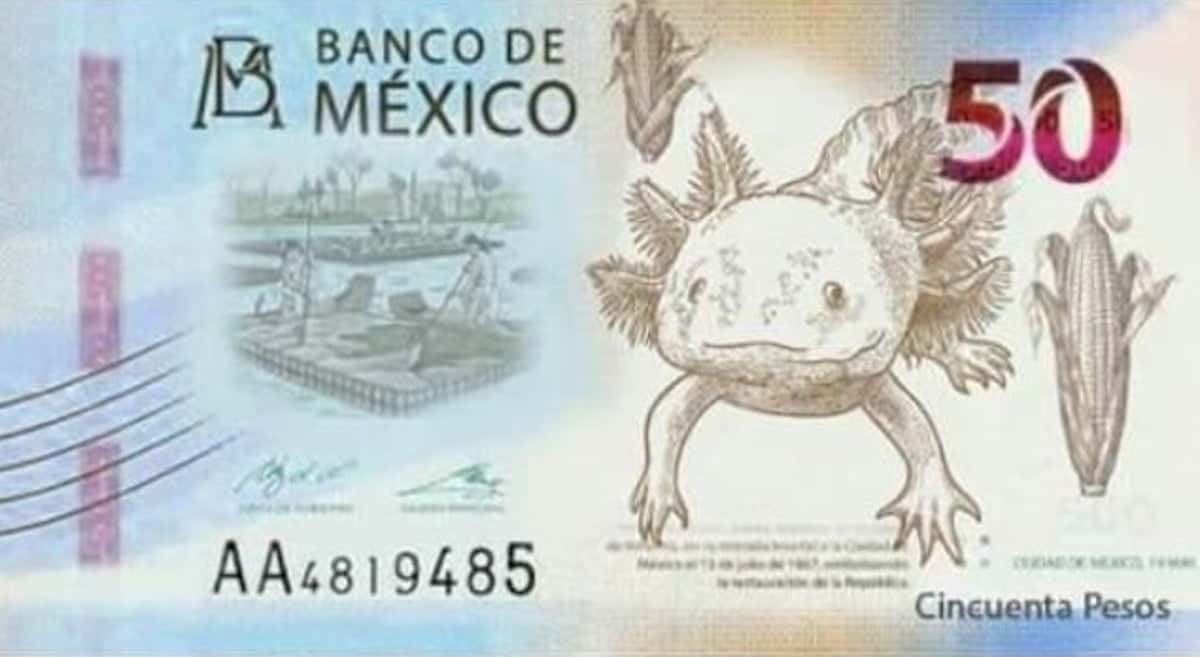 Estas son las monedas y billetes que dejarán de ser usados este 2021